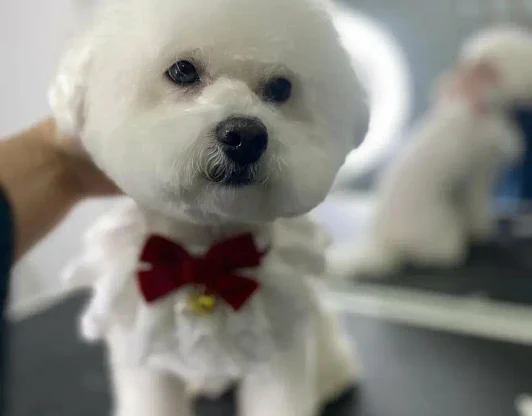 Забота о деталях