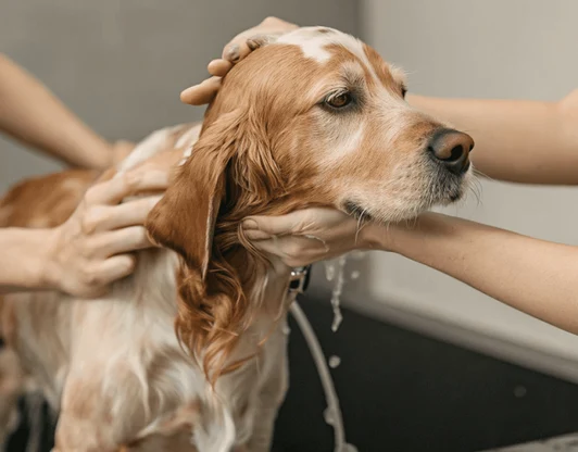 Спокойствие и уют